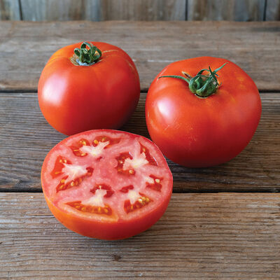 Unity Beefsteak Tomatoes