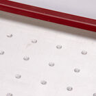 Seed Plate F128 Vacuum