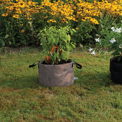 Smart Pot® Natural – 10 Gal. Grow Bags