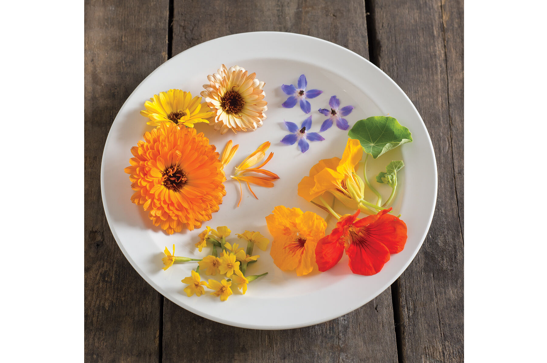 Edible Flower Collection Flower Collections and Mixes