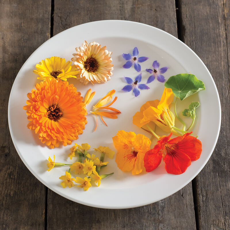 Edible Flower Collection Flower Collections and Mixes