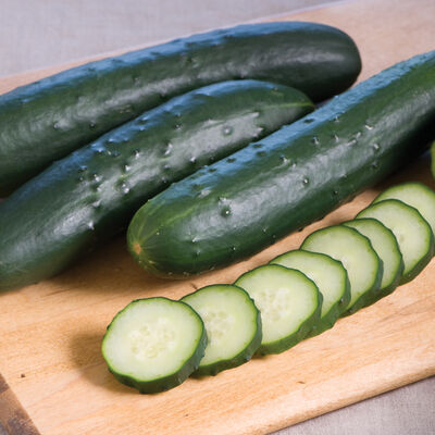 Greenhouse Cucumbers, mini, 4 ct