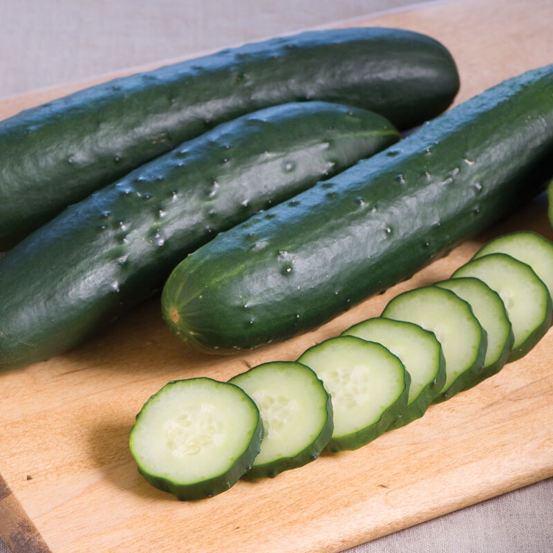 Corinto Slicing Cucumbers
