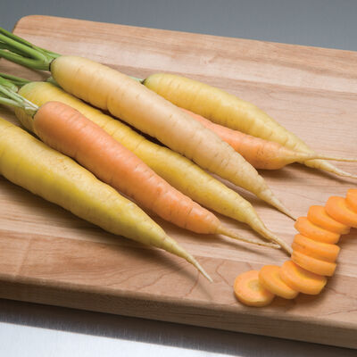 Rainbow Main Crop Carrots