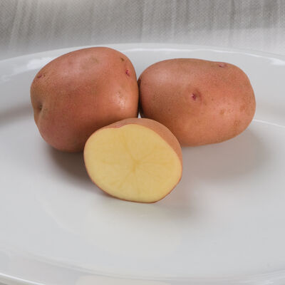 Red Gold Potatoes