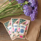 Chrysal Universal Paper Sachet – 1,000 Count Flower Post-Harvest