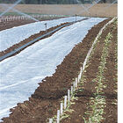 Agribon+ AG-19 – 83" x 250' Agribon