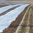 Agribon+ AG-15 – 118" x 50' Agribon+ AG-15 – 118" x 50' Crop Protection
