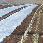 Agribon+ AG-15 – 118" x 1,500' Agribon+ AG-15 – 118" x 1,500' Crop Protection