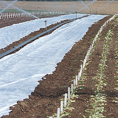 Agribon+ AG-15 – 118" x 250' Crop Protection