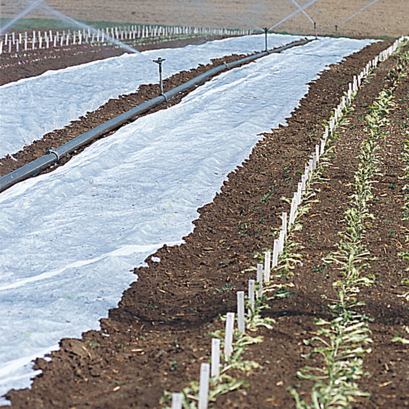 Agribon+ AG-19 – 30' x 100' Agribon+ AG-19 – 30' x 100' Agribon