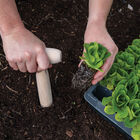 Handheld Garden Dibble Trowels and Diggers