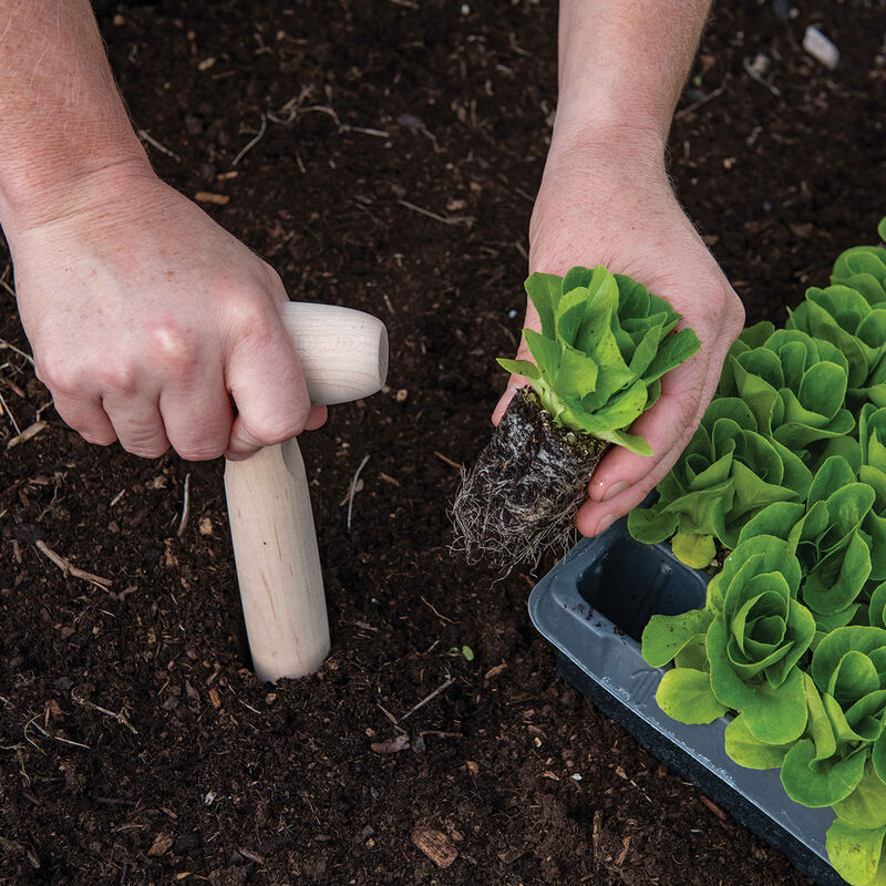 Handheld Garden Dibble Trowels and Diggers