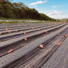 Black Weed Fabric – 5.25' x 820' Black Weed Fabric – 5.25' x 820' Mulches and Weed Barrier