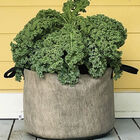 Smart Pot® Natural – 15 Gal. Grow Bags