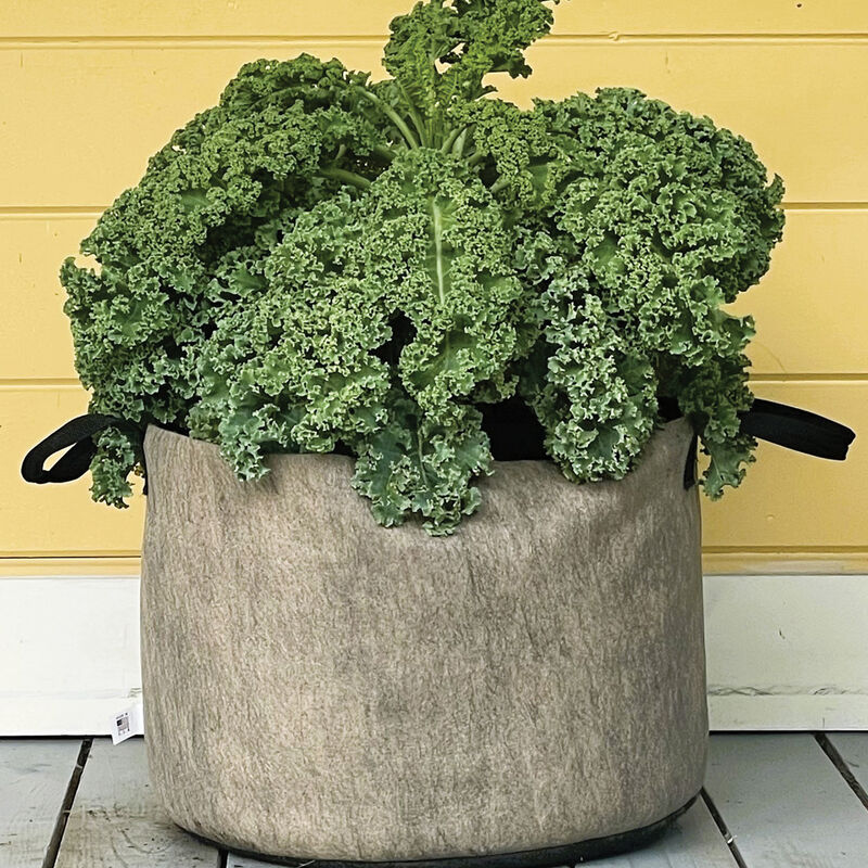 Smart Pot® Natural – 15 Gal. Grow Bags