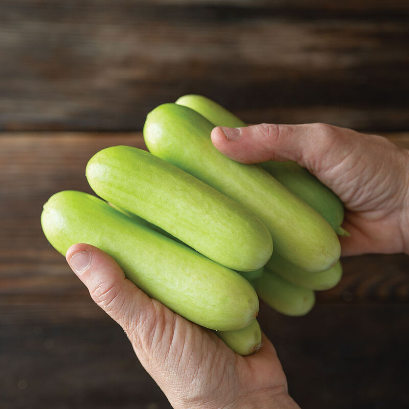 Gimlet Specialty Cucumbers