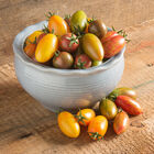 Artisan Tomato™ Collection Specialty Tomatoes