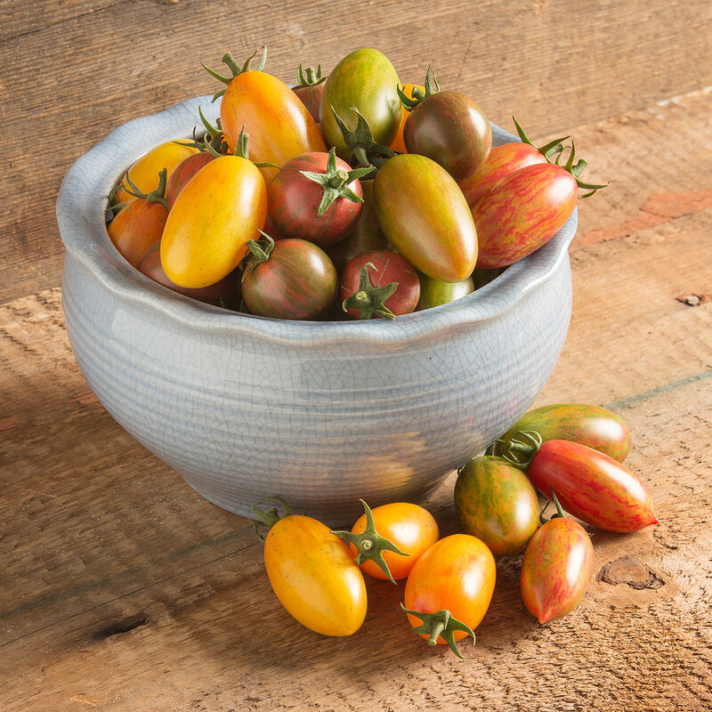 Artisan Tomato™ Collection Specialty Tomatoes