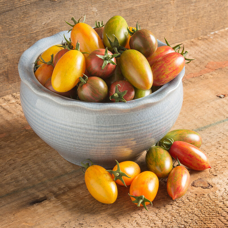 Artisan Tomato™ Collection Specialty Tomatoes