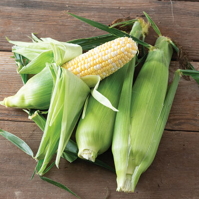 Inspiration Sweet Corn