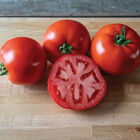 Firebird Beefsteak Tomatoes