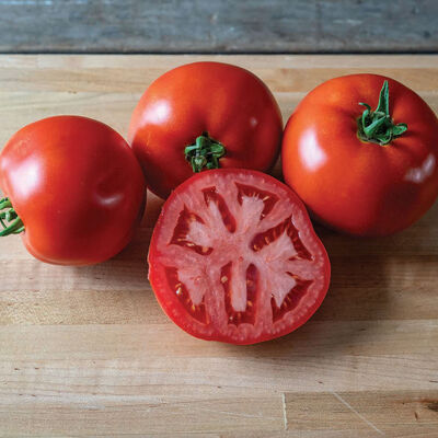 Firebird Beefsteak Tomatoes