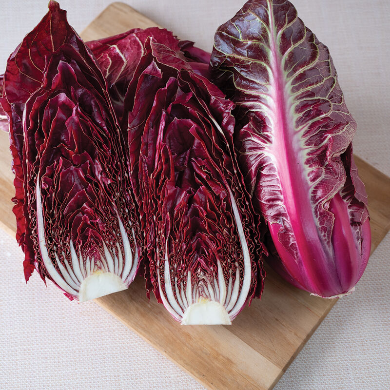 Luna Rossa Radicchio