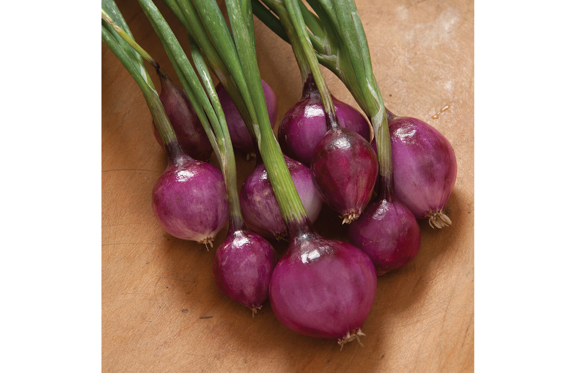 Amazon.com: Customized Onion Ceramic Ornament, Onion