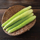 Margarita Specialty Cucumbers