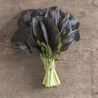 Red Kingdom Asian Greens
