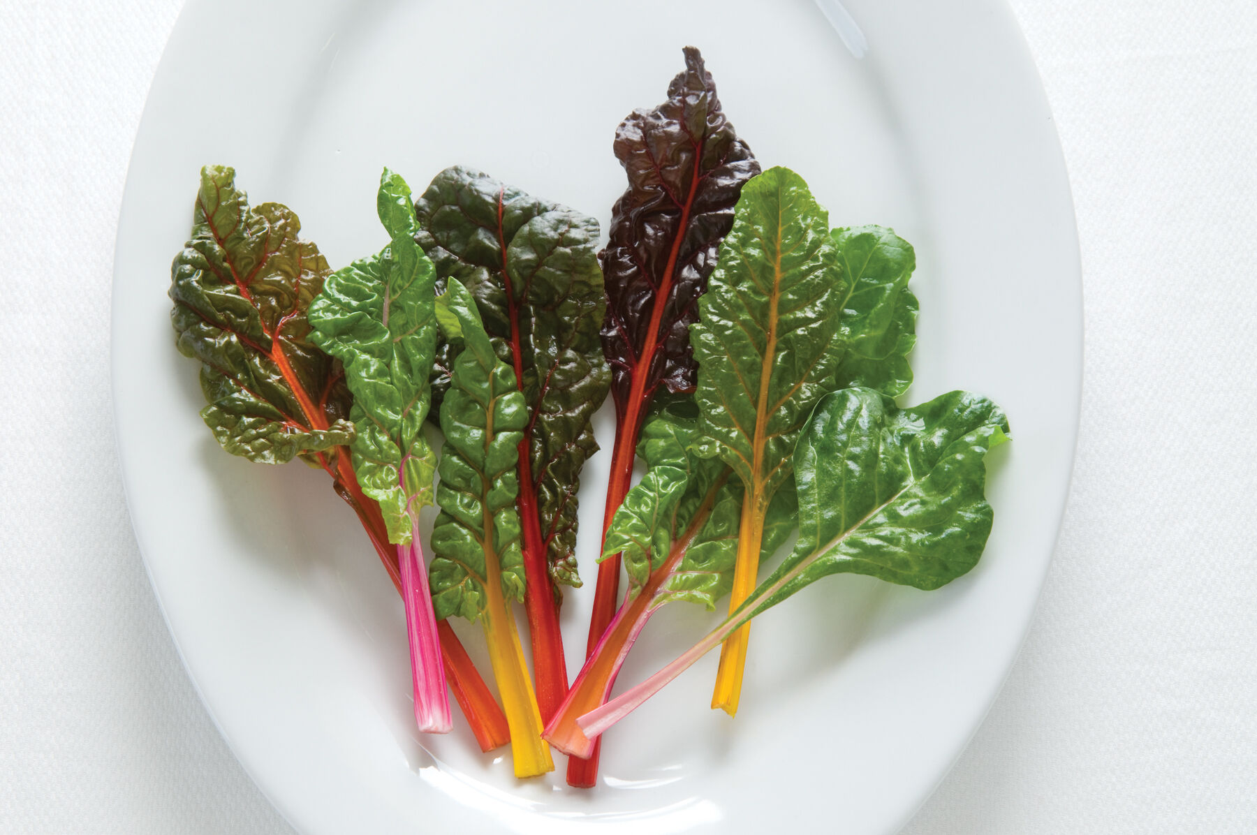 Bright Lights Swiss Chard