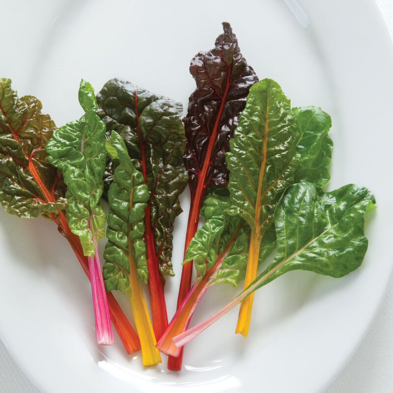 Bright Lights Swiss Chard