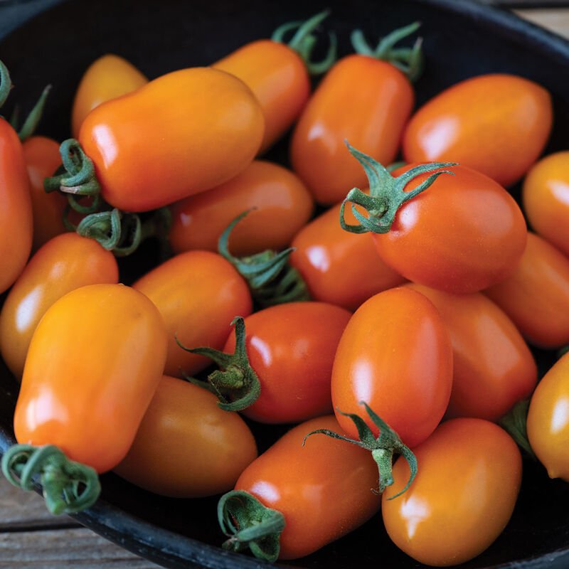 Mimosa Grape Tomatoes
