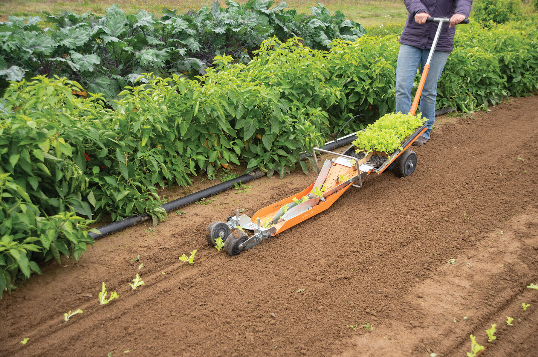 Terrateck Paperpot Transplanter Transplanters