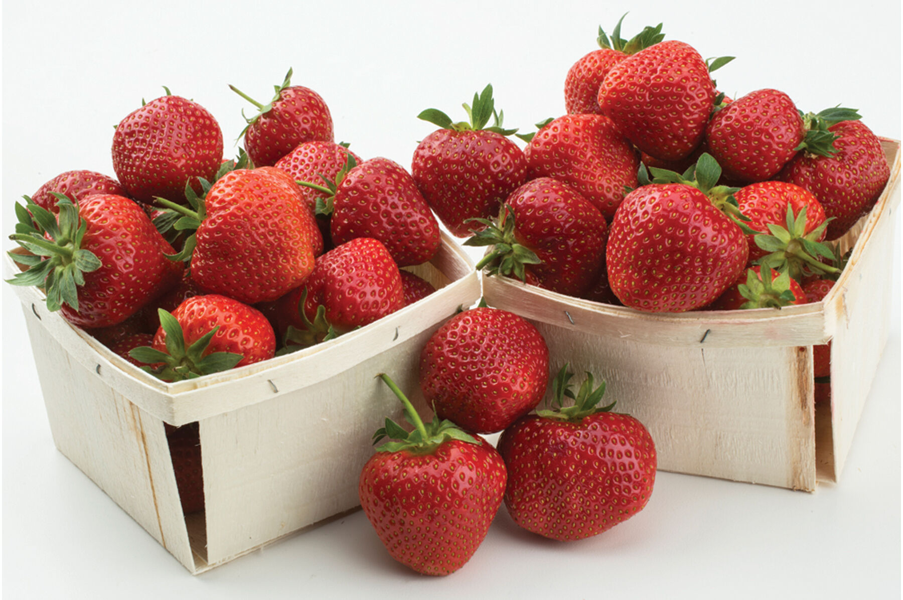 Yambu – Spring-Planted - Strawberry Plants | Johnny's