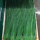 Nelly Standard Chives