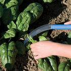 Serrated Greens Knife – 6" Harvest Knives
