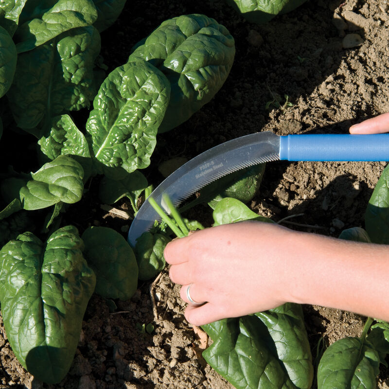Serrated Greens Knife – 6" Harvest Knives