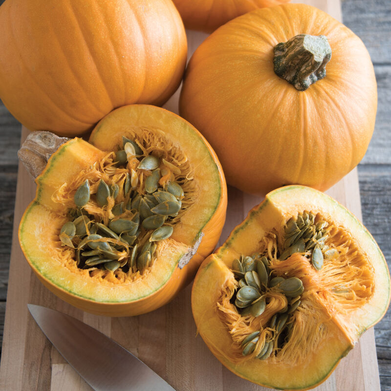 Naked Bear Naked Bear Specialty Pumpkins