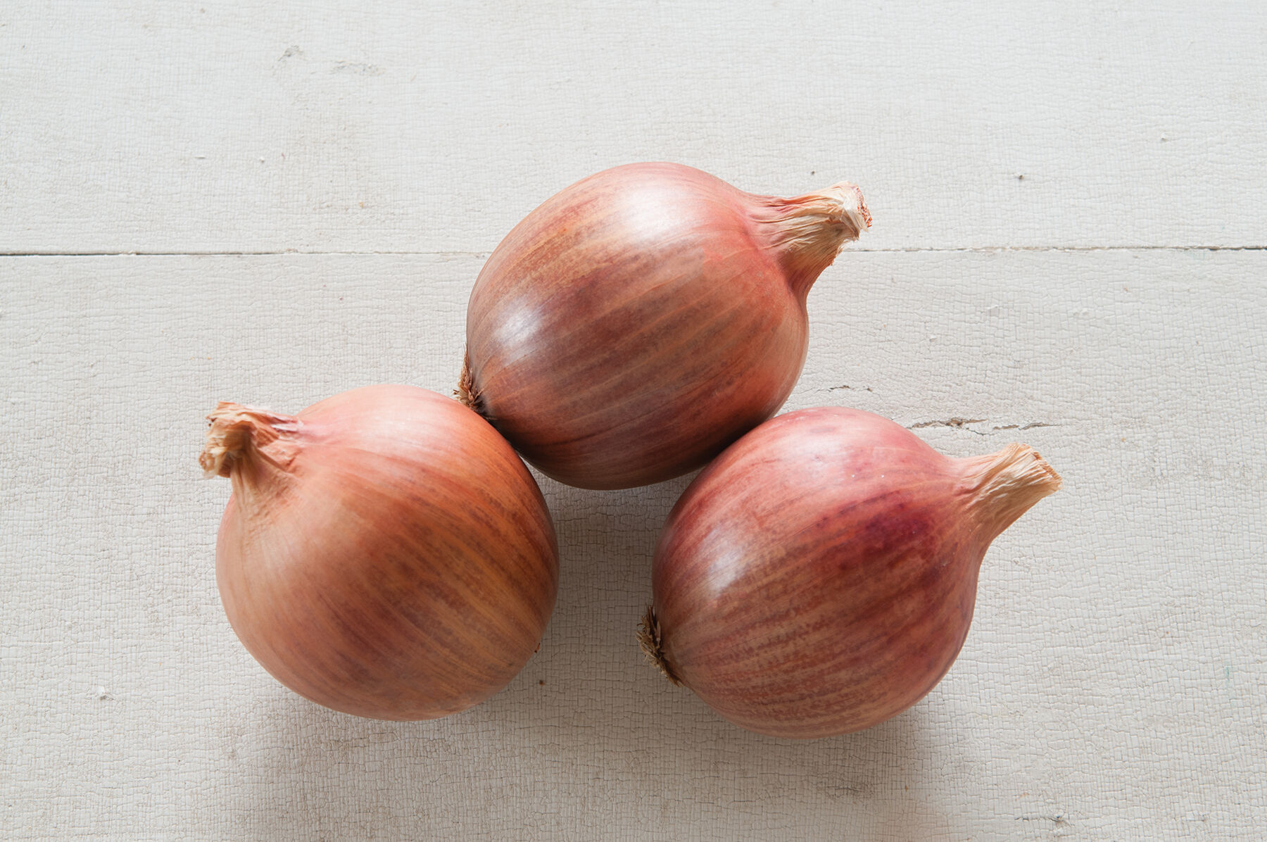 Blush - Long Day Onion Seeds | Johnny's Selected Seeds