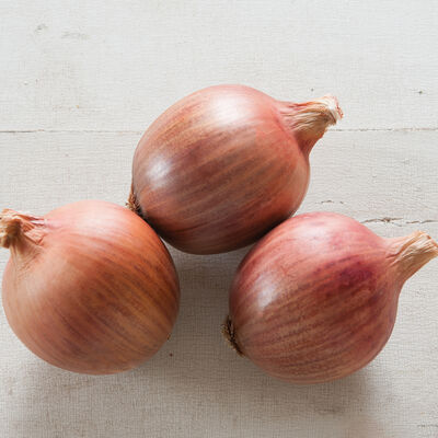 Blush Full-Size Onions