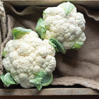EarliSnow Standard Cauliflower