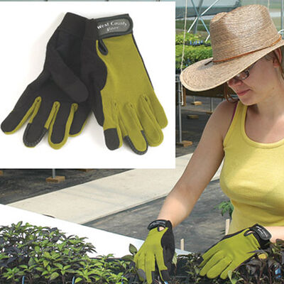 Women's Stem – L Women's Stem – L Gloves