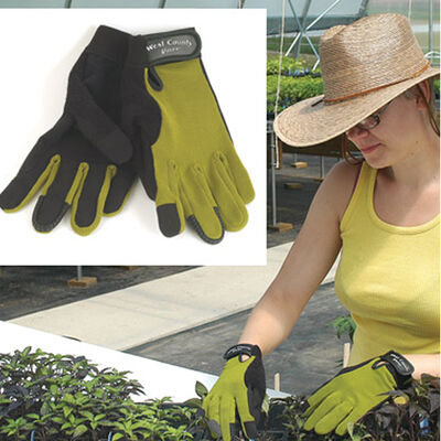 Women's Stem – XS Women's Stem – XS Gloves