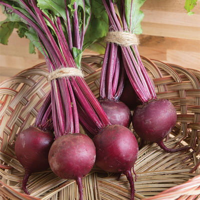 Boro Round Red Beets