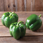 Nitro Sweet Bell Peppers