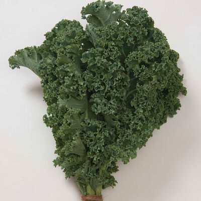 Winterbor Winterbor Kale