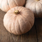 Winter Blush Winter Squash