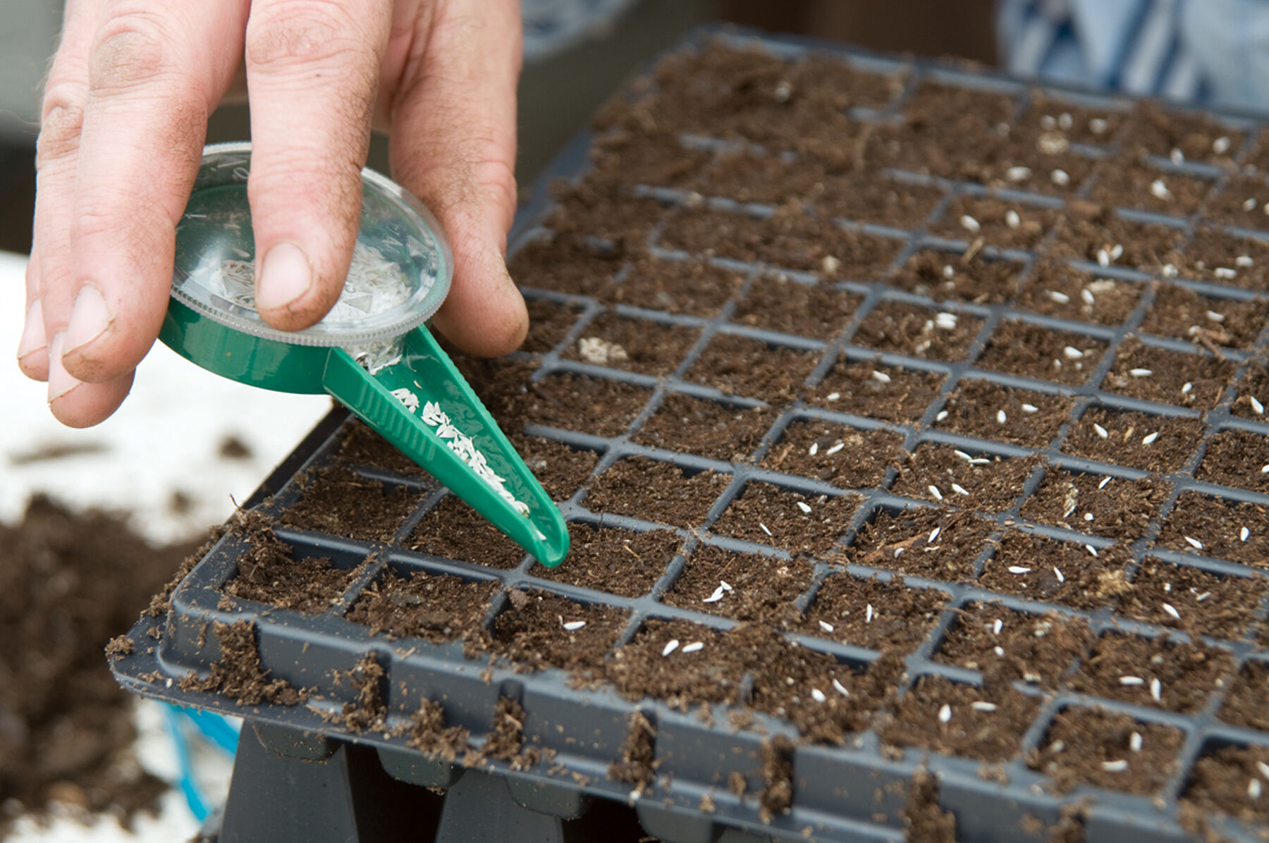 Small seed planter tool sale